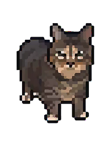 올라캣